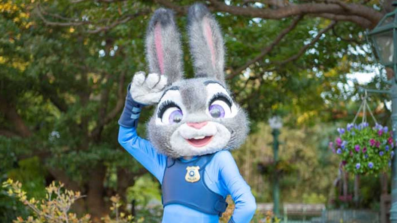 ジュディ・ホップスのイメージ