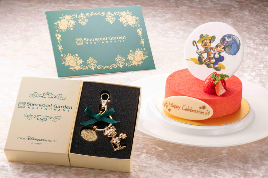 Official Precious Celebration Set Tokyo Disney Resort