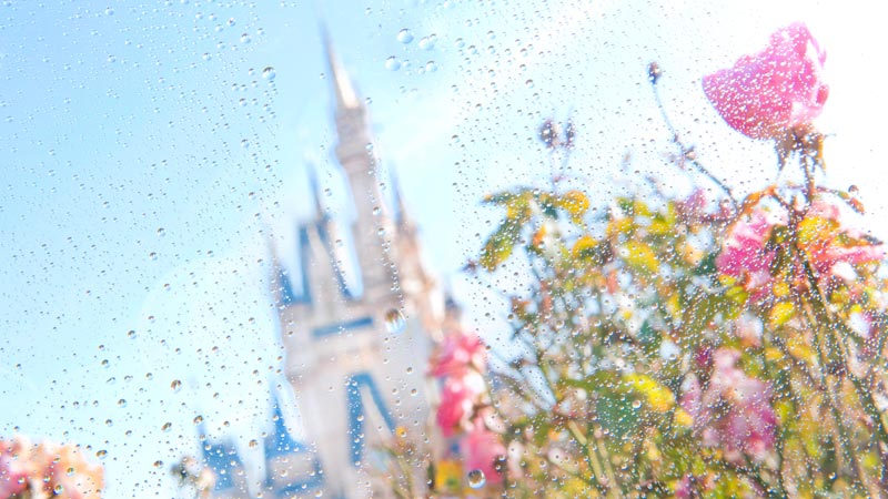 公式 東京ディズニーランド 東京ディズニーランド