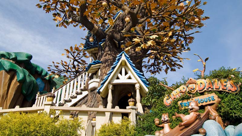 Chip 'n Dale's Treehouse