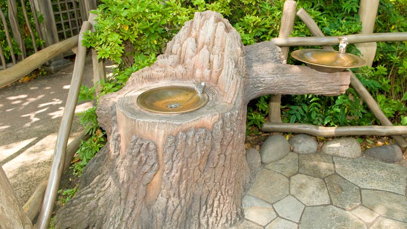 水飲み場