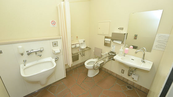 About Multi-function Restrooms for Guests Using Wheelchairs