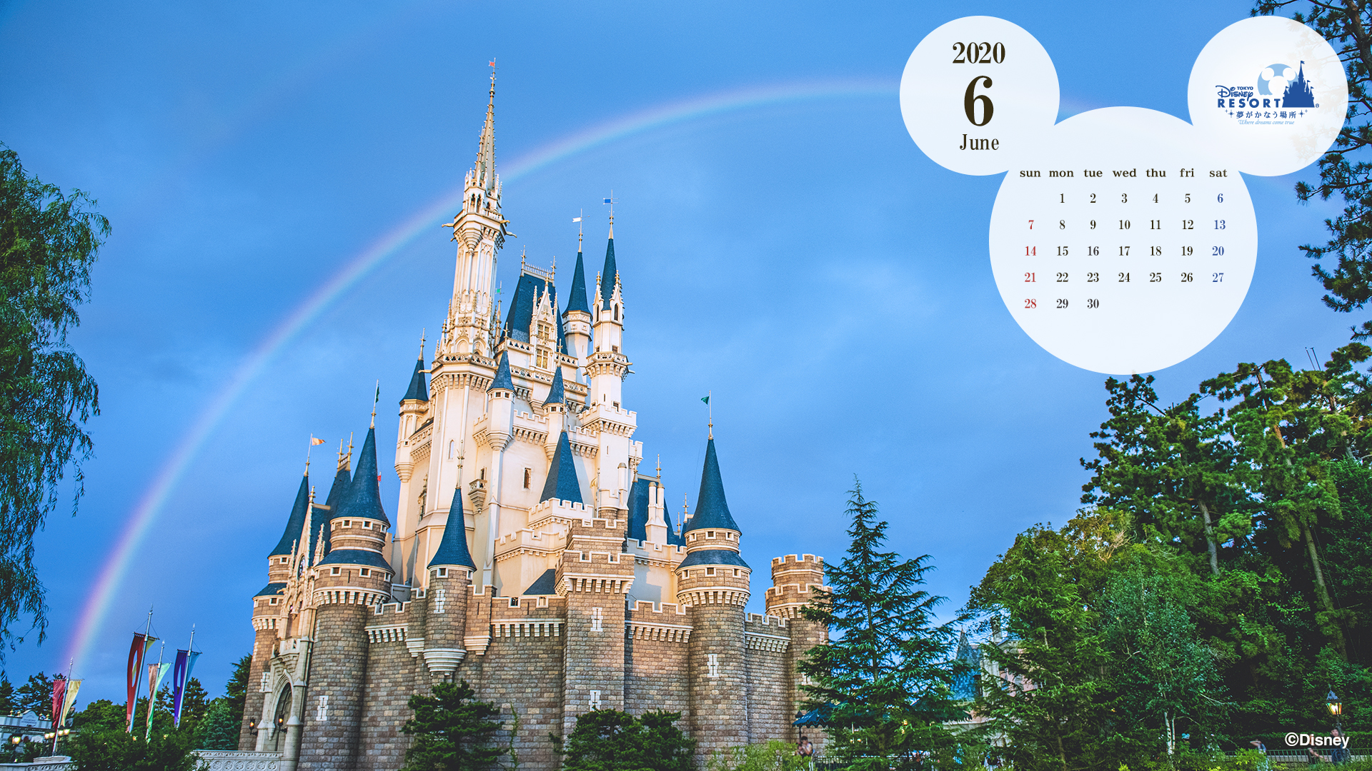 Official Pc Calendar Wallpaper Tokyo Disney Resort