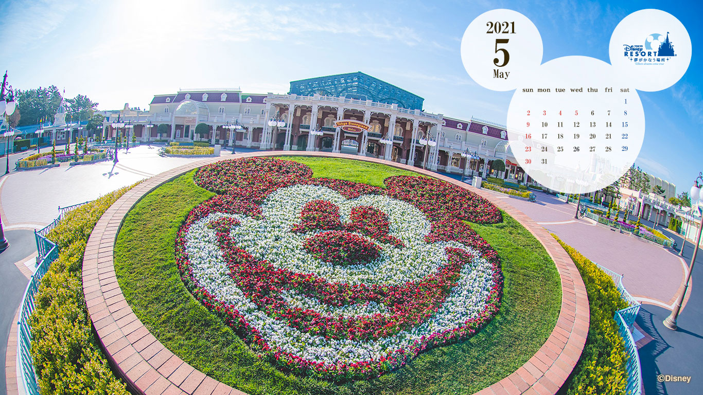 公式 壁紙カレンダー 東京ディズニーリゾート