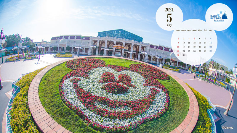 公式 壁紙カレンダー 東京ディズニーリゾート