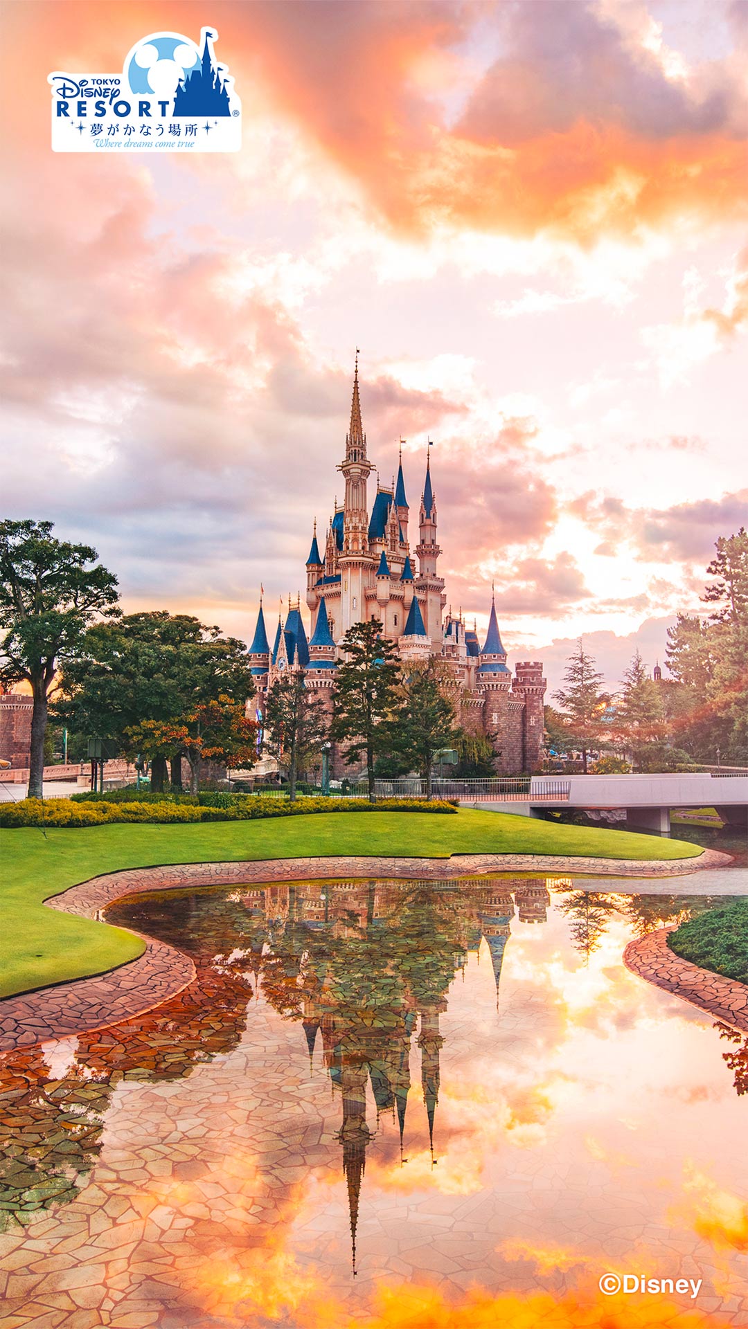 Official Wallpaper Tokyo Disney Resort