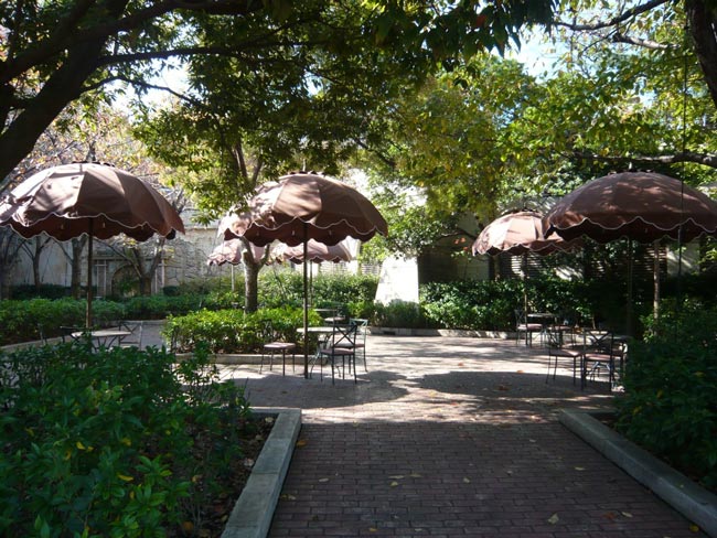 公式 当選者発表 公式twitterアカウント ダッフィーといっしょ フォロワー限定キャンペーン 東京ディズニーリゾート ブログ 東京ディズニー リゾート