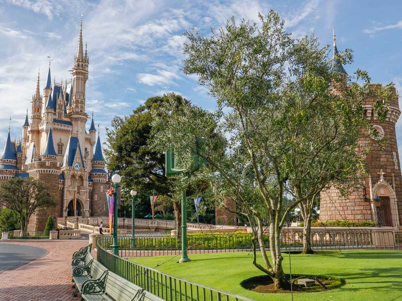 公式 花と緑の散策 東京ディズニーリゾート ブログ 東京ディズニーリゾート