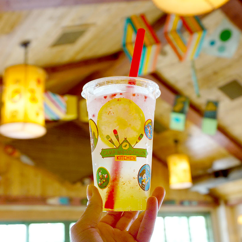 東京ディズニーランド,ウエスタンランド,キャンプ・ウッドチャック・キッチン店内,スパークリングレモンゼリードリンク